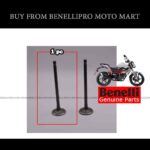 Intake Valve for Benelli TNT 150i